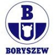 сайдинг Boryszew