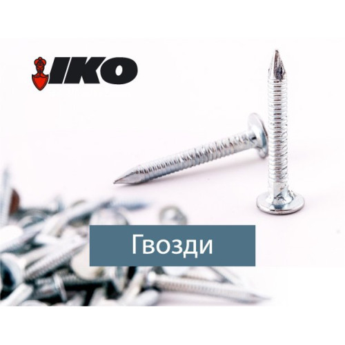 Цвях покрівельний кільцевий 3.1 x 25 К б/ц (уп 5 кг/1)