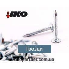 Цвях покрівельний кільцевий 3.1 x 25 К б/ц (уп 5 кг/1)