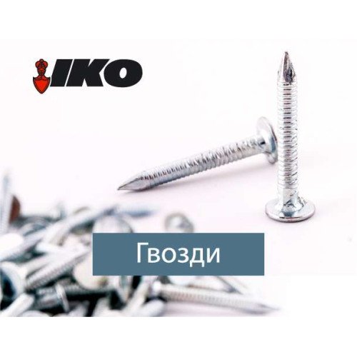 Цвях покрівельний кільцевий 3.1 x 30 К б/ц (уп 5 кг/1)