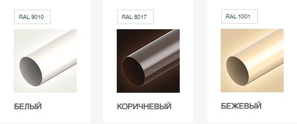 Фото цветов водостока Инес